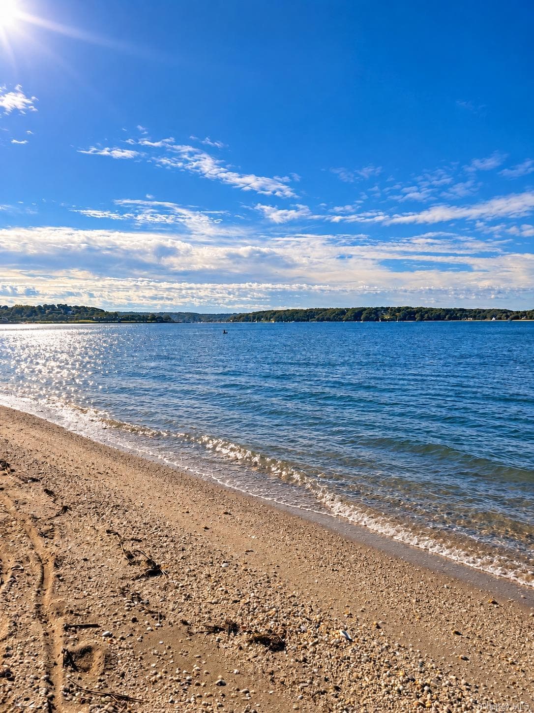 3 Beach Plum Drive thumbnail 47