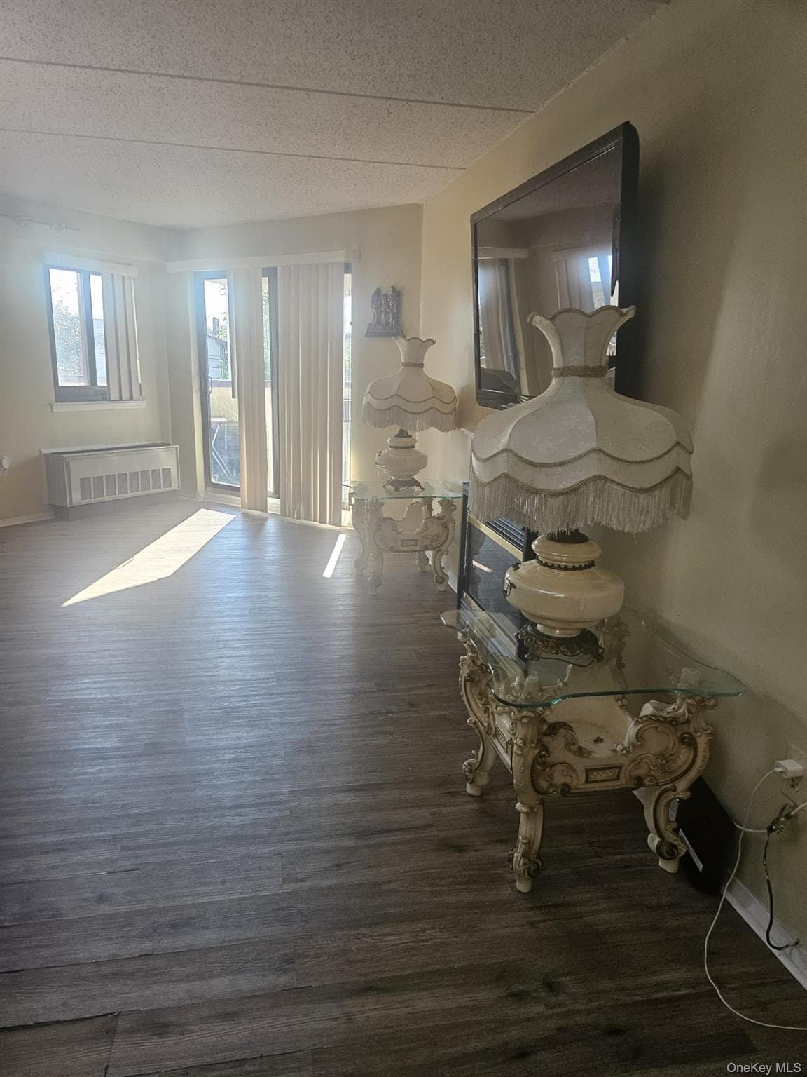 725 Miller Avenue Unit: 221, Freeport