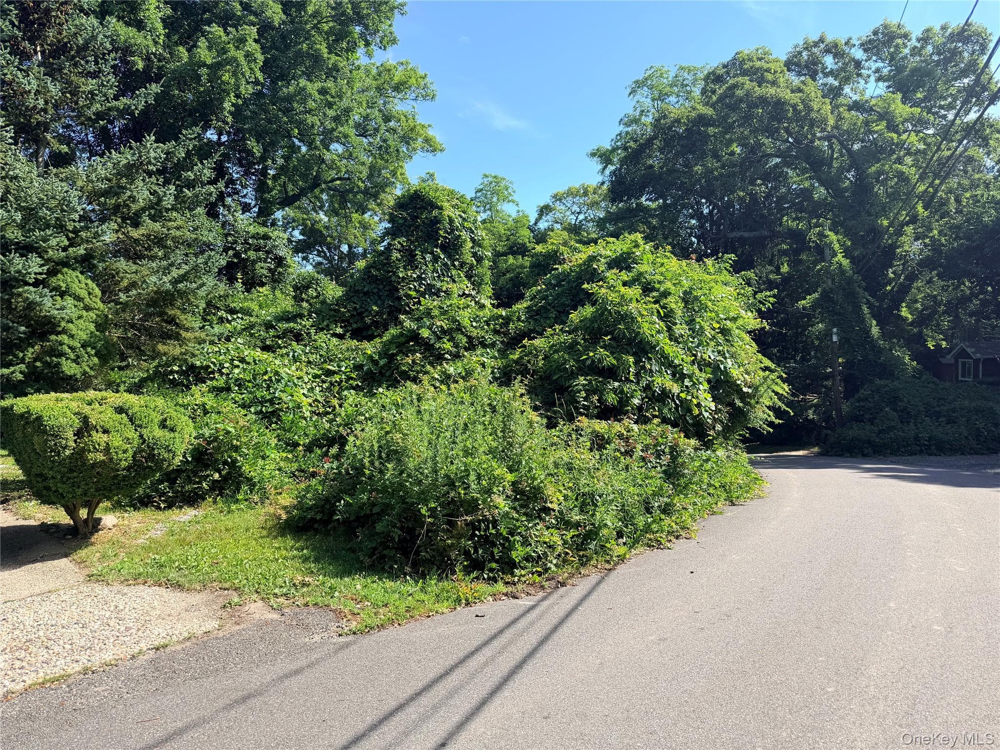 97 Maple Road thumbnail 32