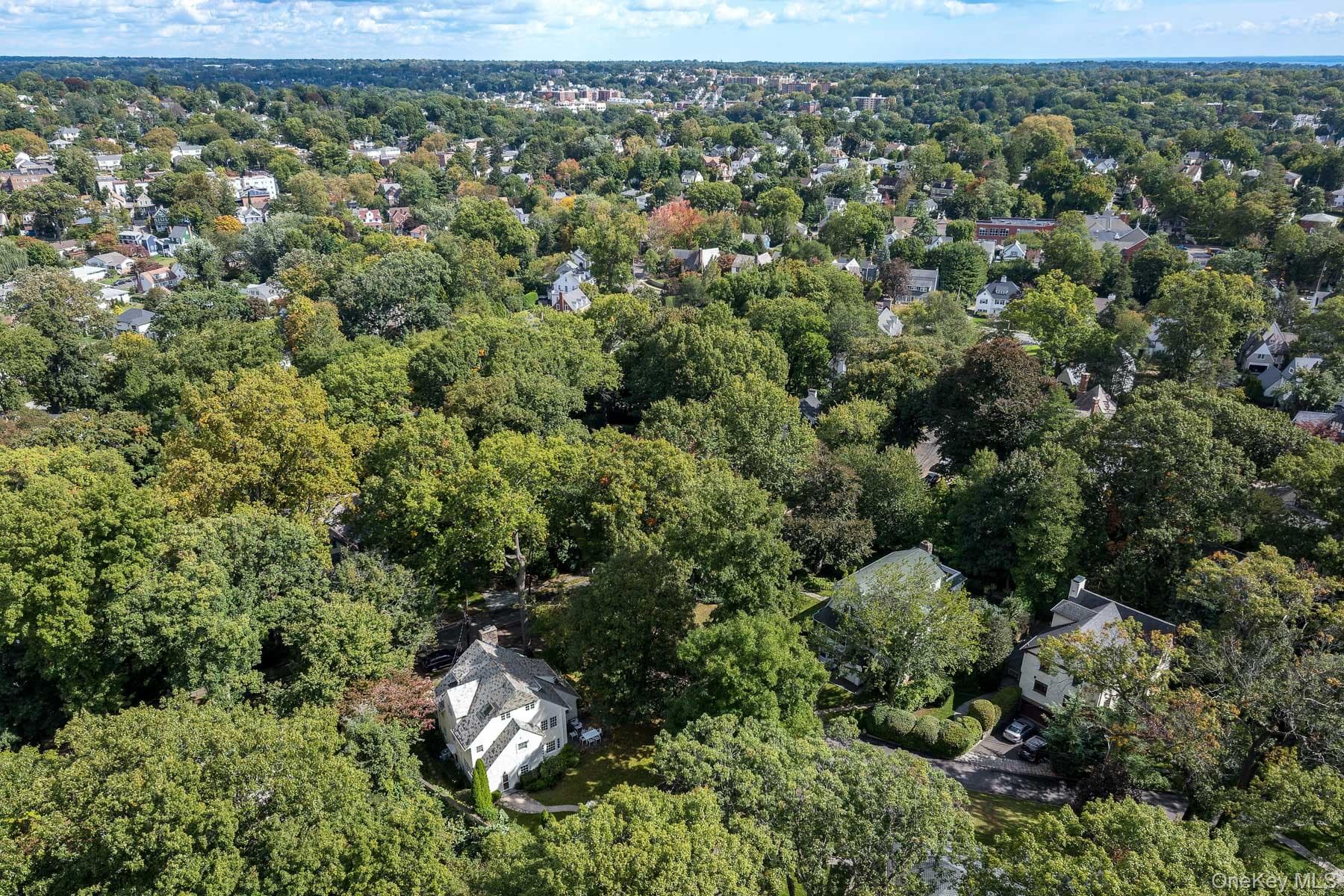 49 Beechmont Avenue thumbnail 39
