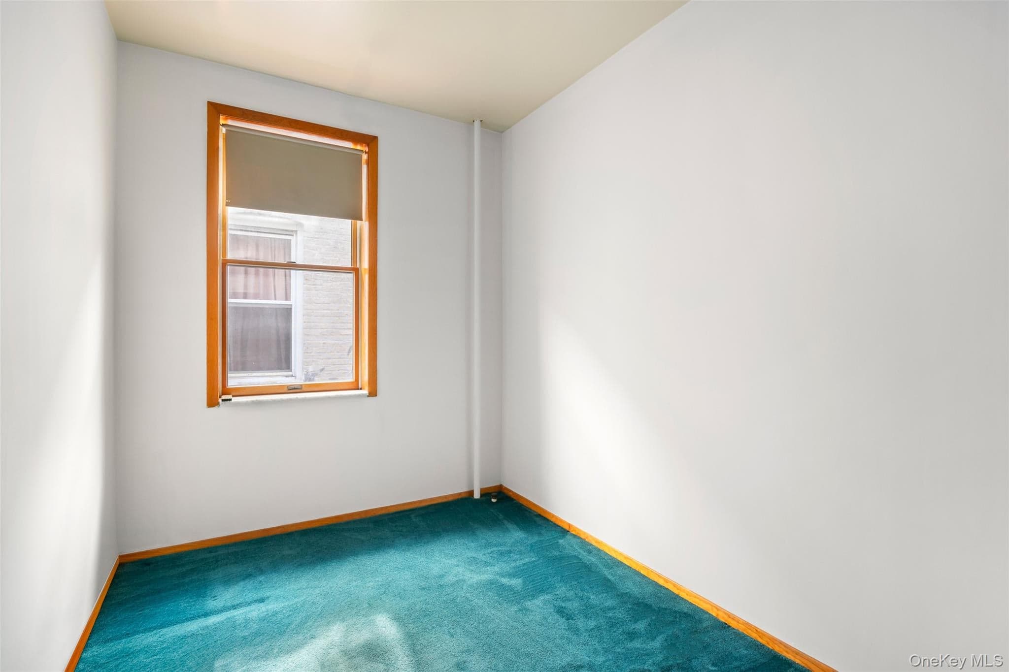 1538 W 11th Street thumbnail 10