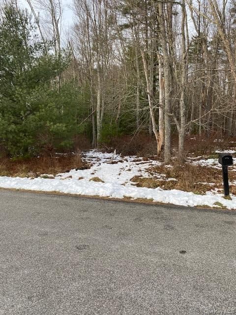 Lot 114 Old Congress Road, Monticello