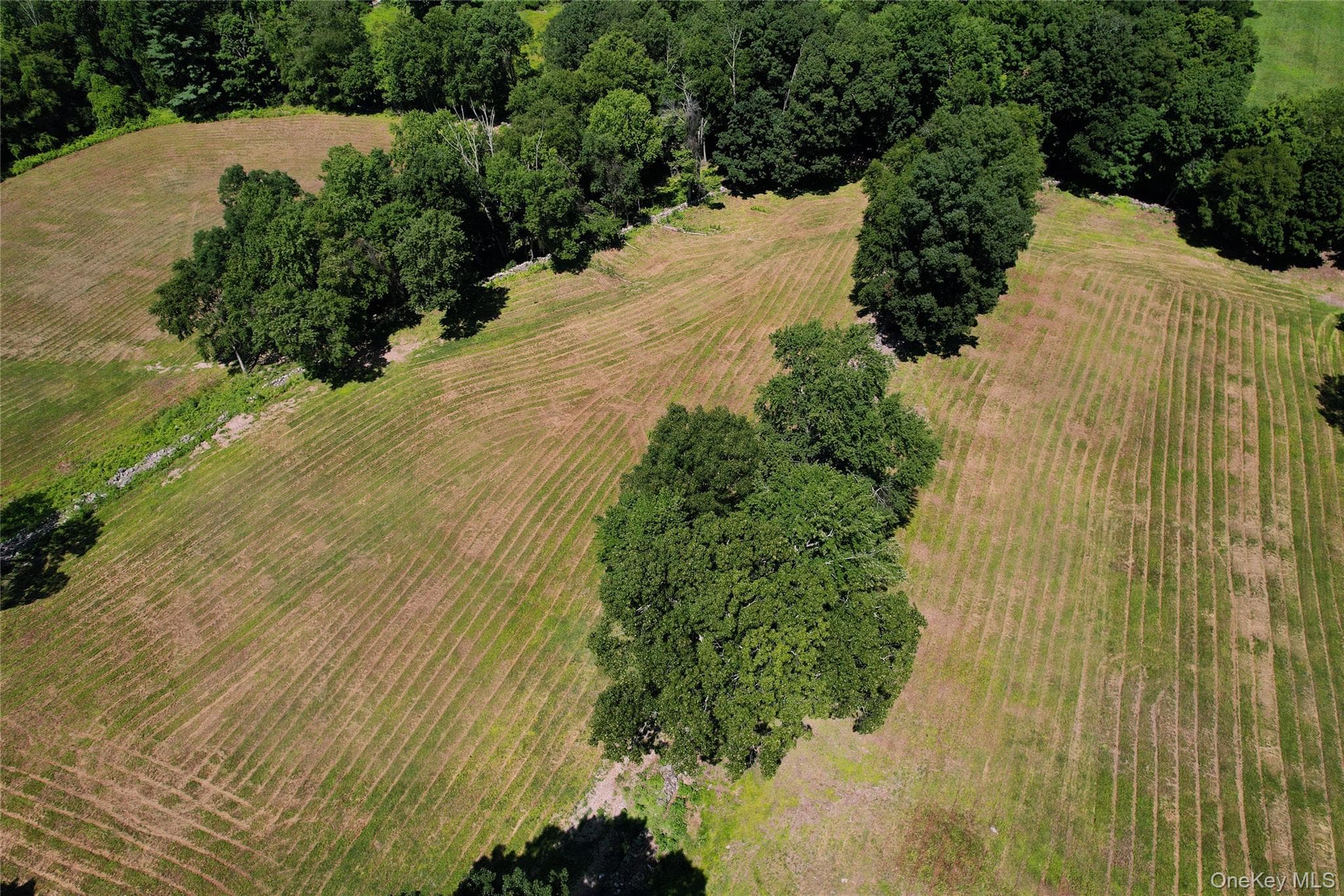 725 Croton Lake Road thumbnail 11