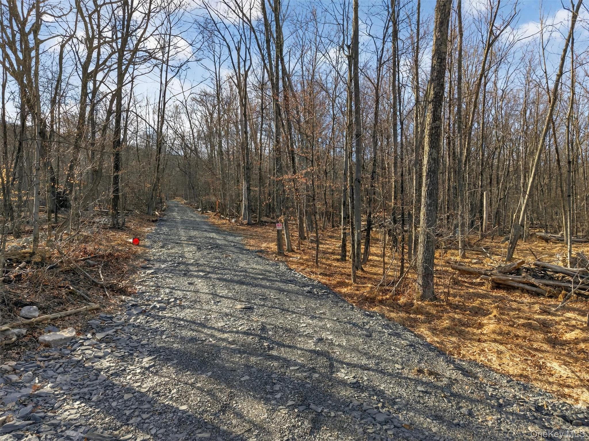 Lenni Lenape Avenue thumbnail 4