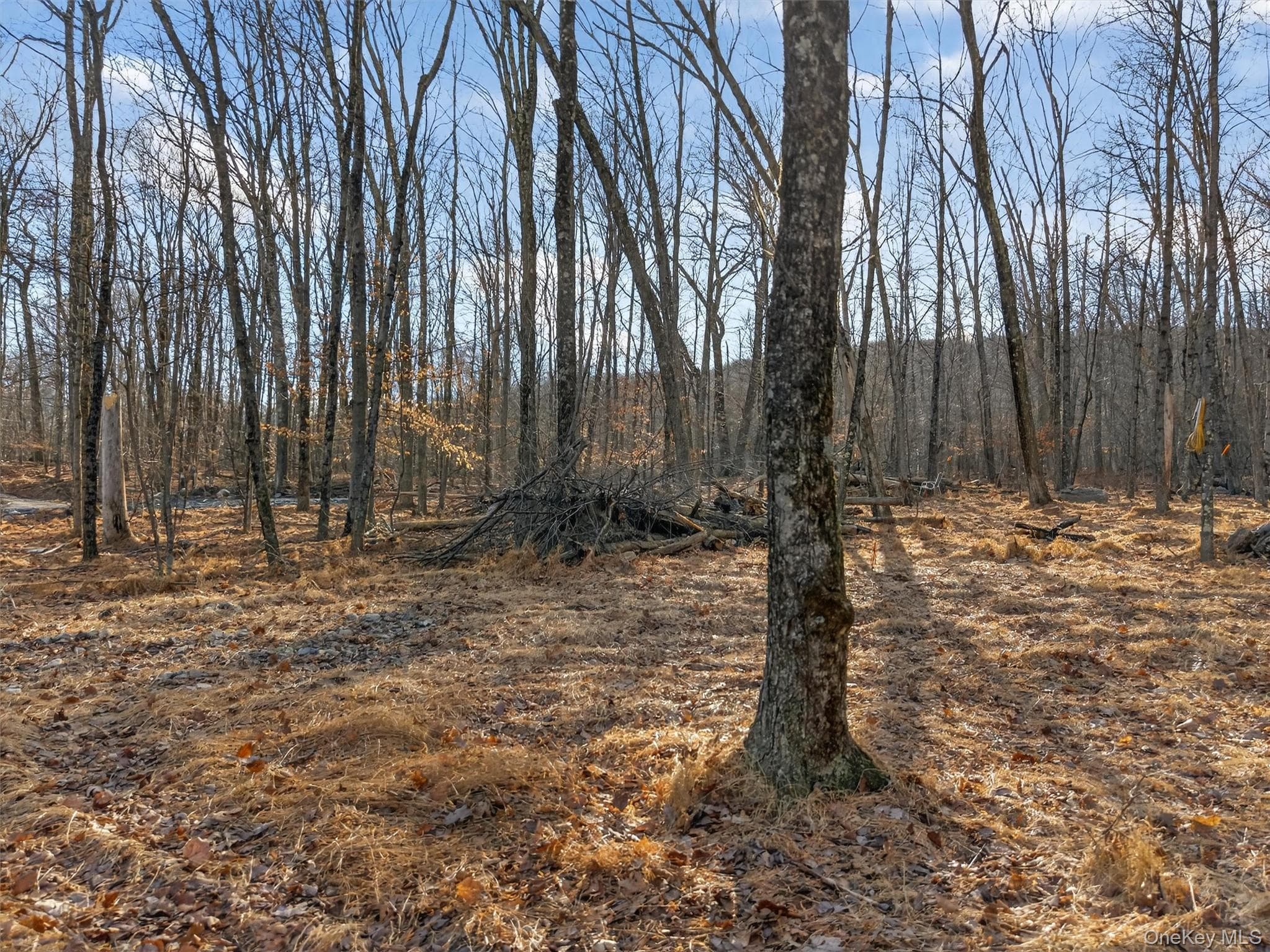 Lenni Lenape Avenue thumbnail 14