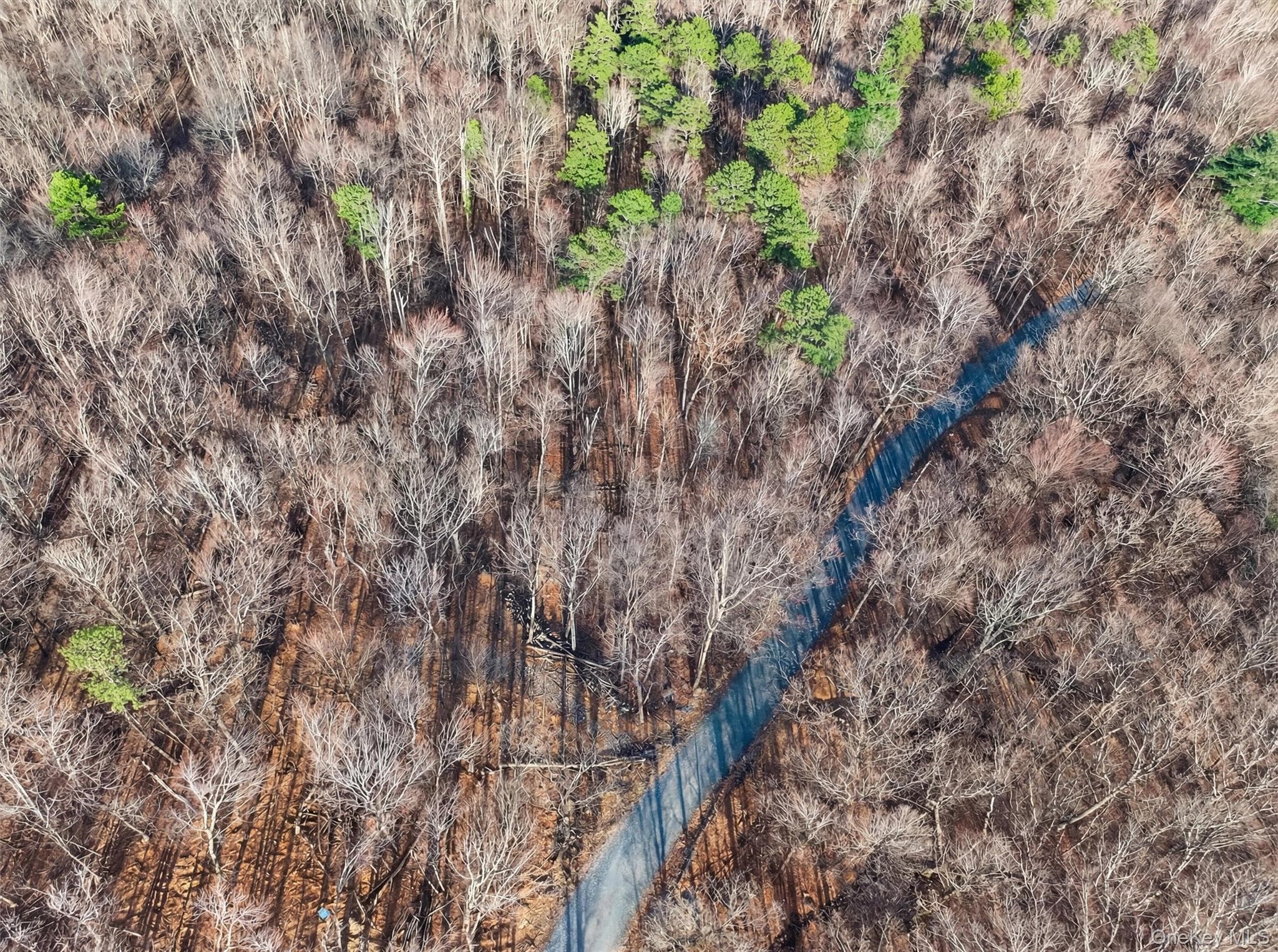 Lenni Lenape Avenue thumbnail 16