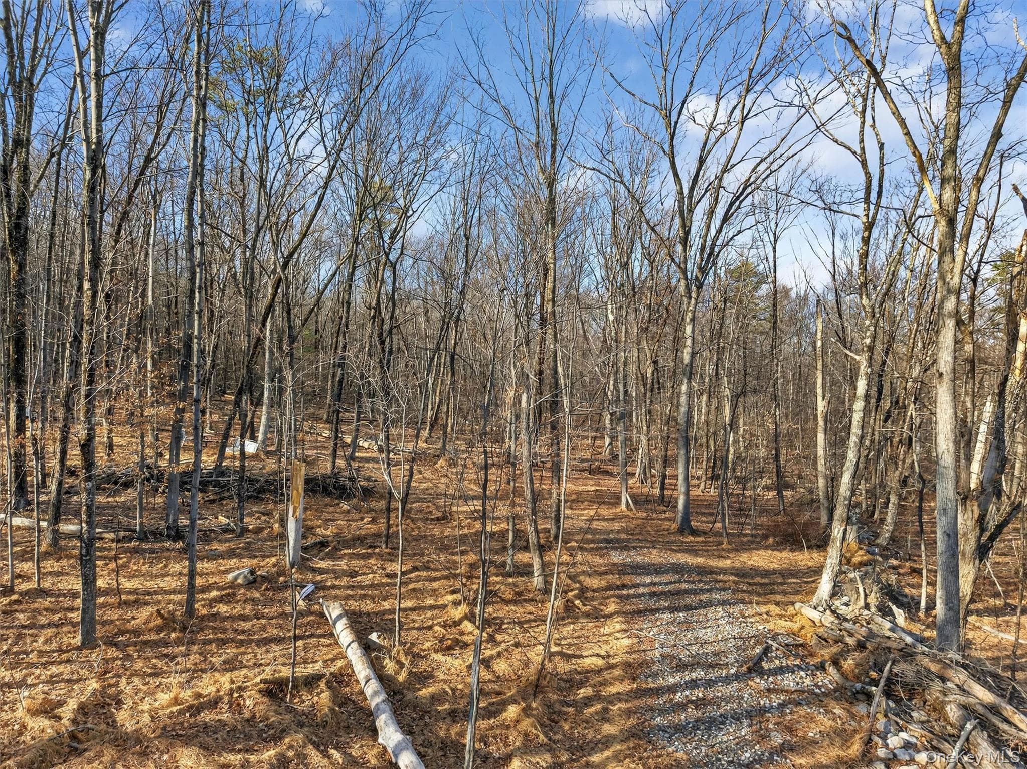 Lenni Lenape Avenue thumbnail 7