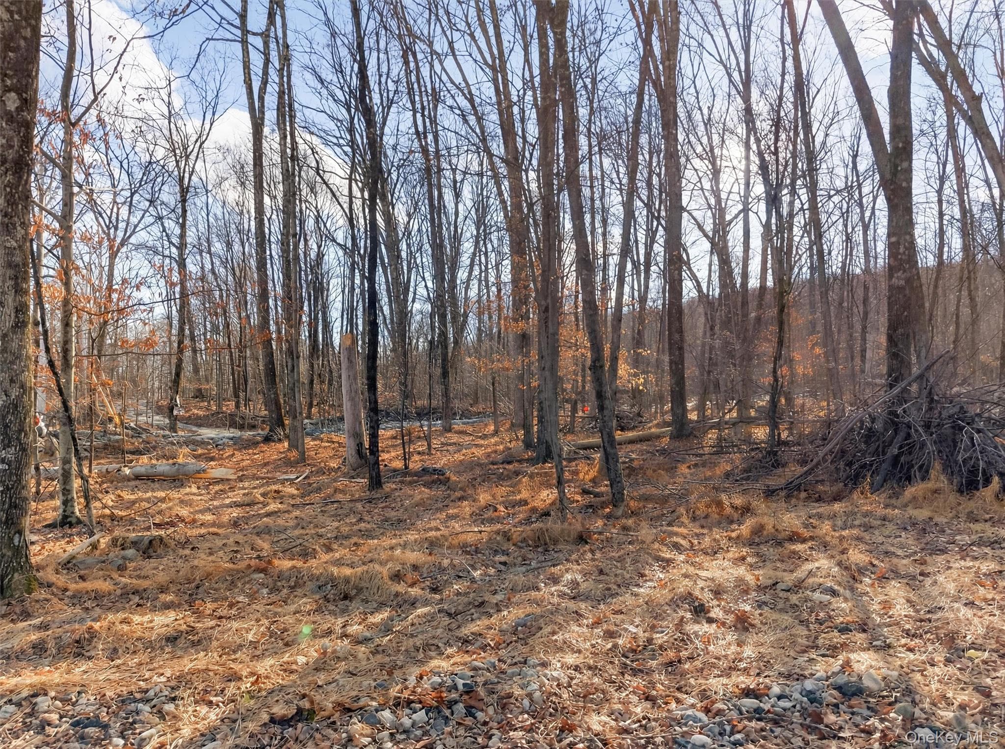 Lenni Lenape Avenue thumbnail 13