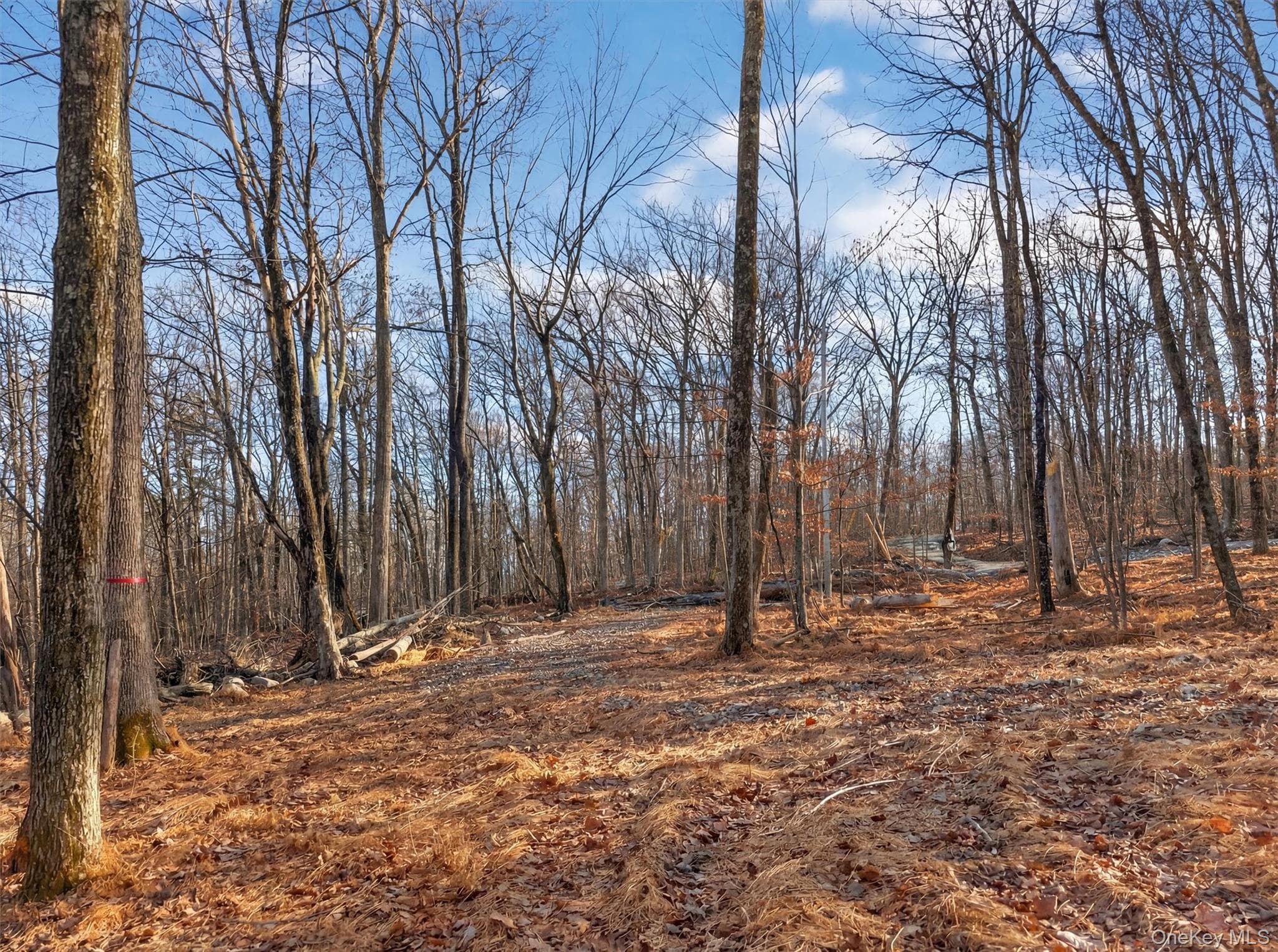 Lenni Lenape Avenue thumbnail 15