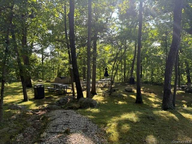 150 Overlook Avenue Unit: 5E thumbnail 24