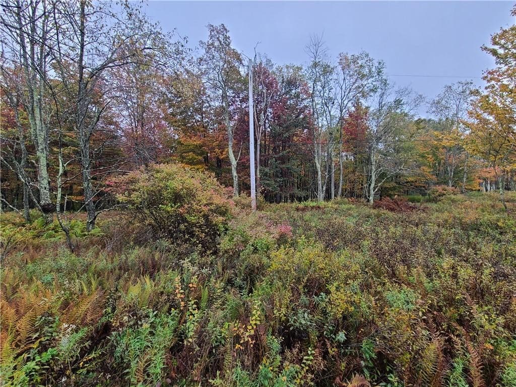 116 Voss Road thumbnail 17