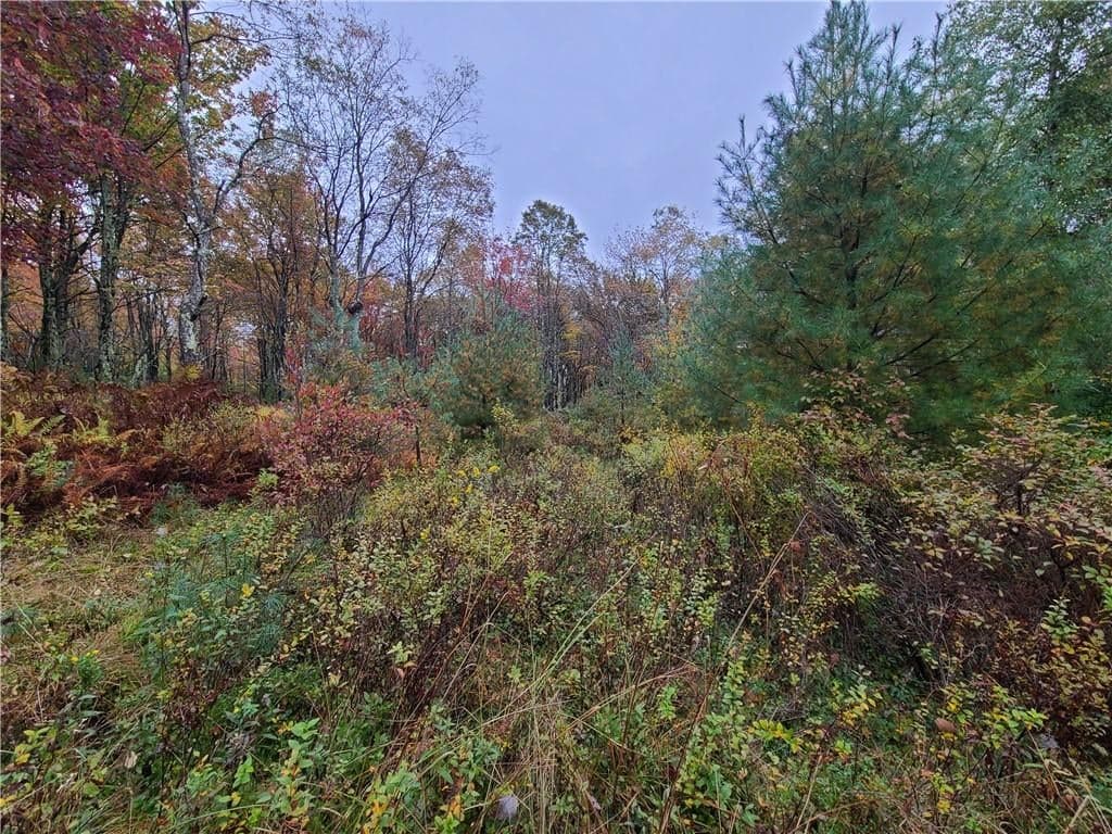 116 Voss Road thumbnail 10
