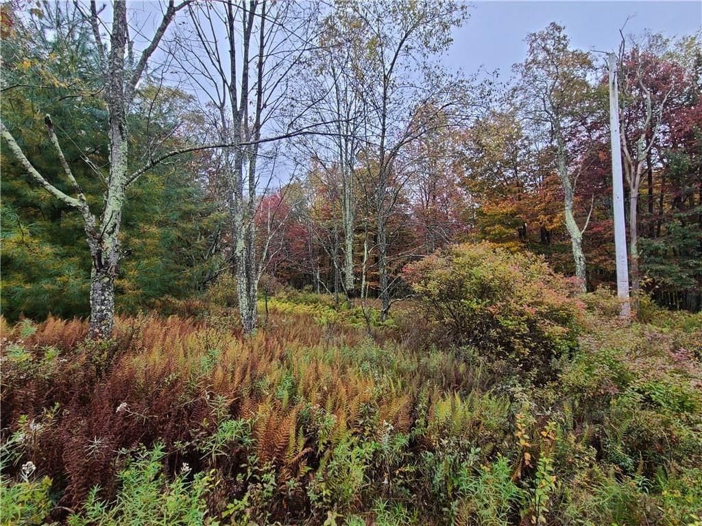 116 Voss Road thumbnail 16