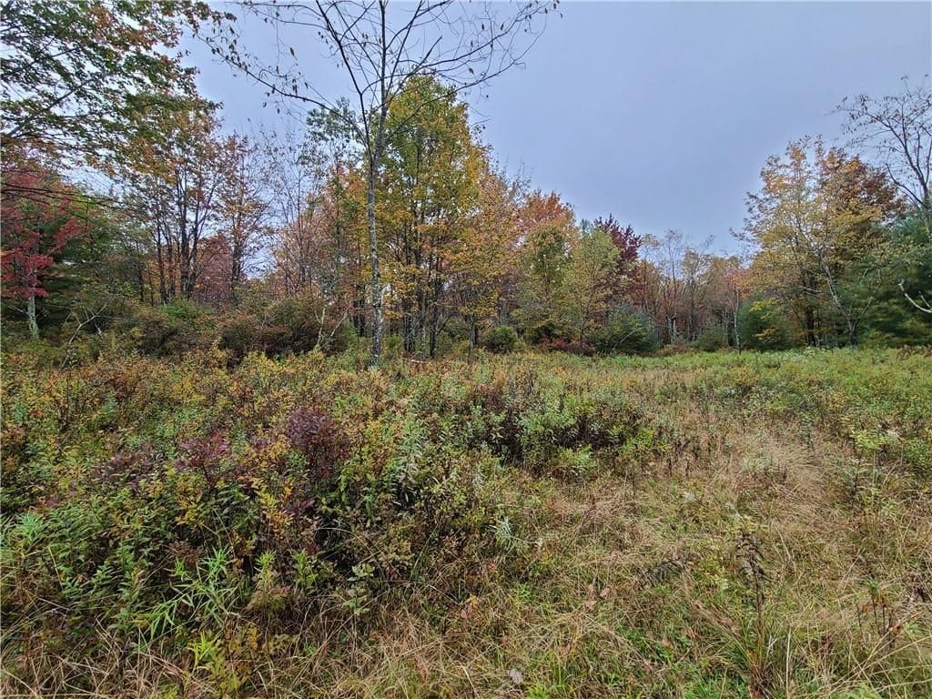 116 Voss Road thumbnail 27