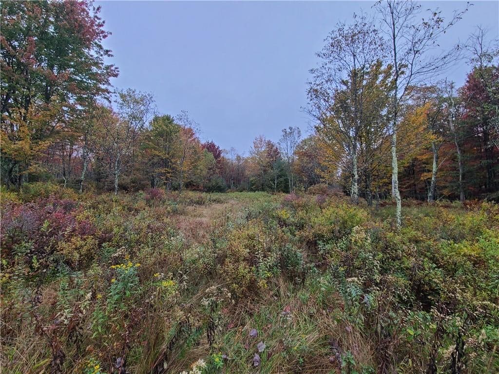 116 Voss Road thumbnail 2