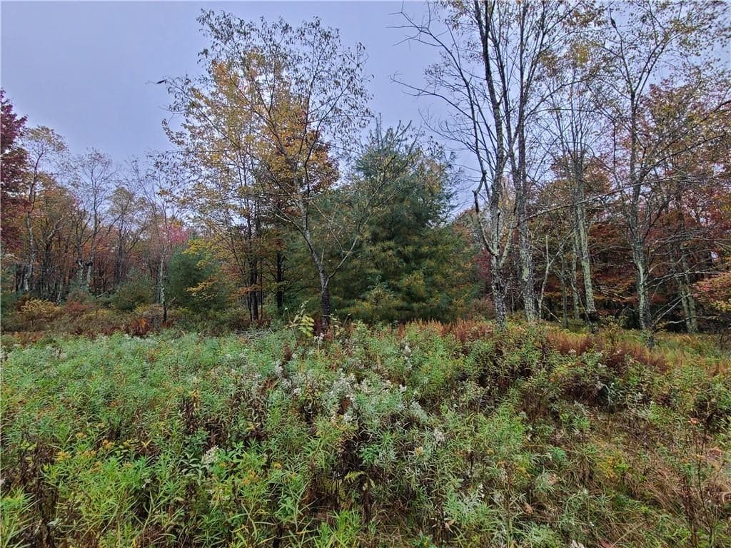 116 Voss Road thumbnail 15