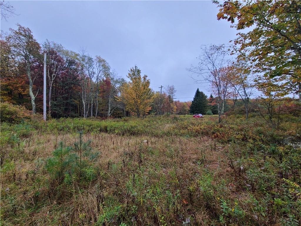 116 Voss Road thumbnail 8