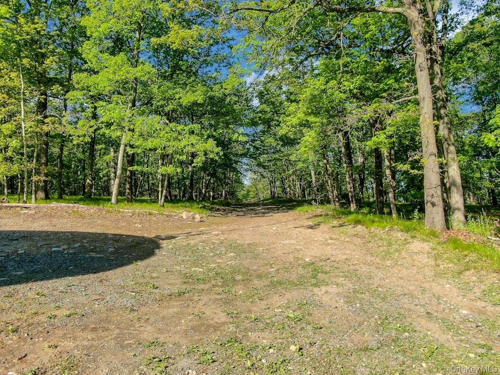 26 Council Crest Road thumbnail 21