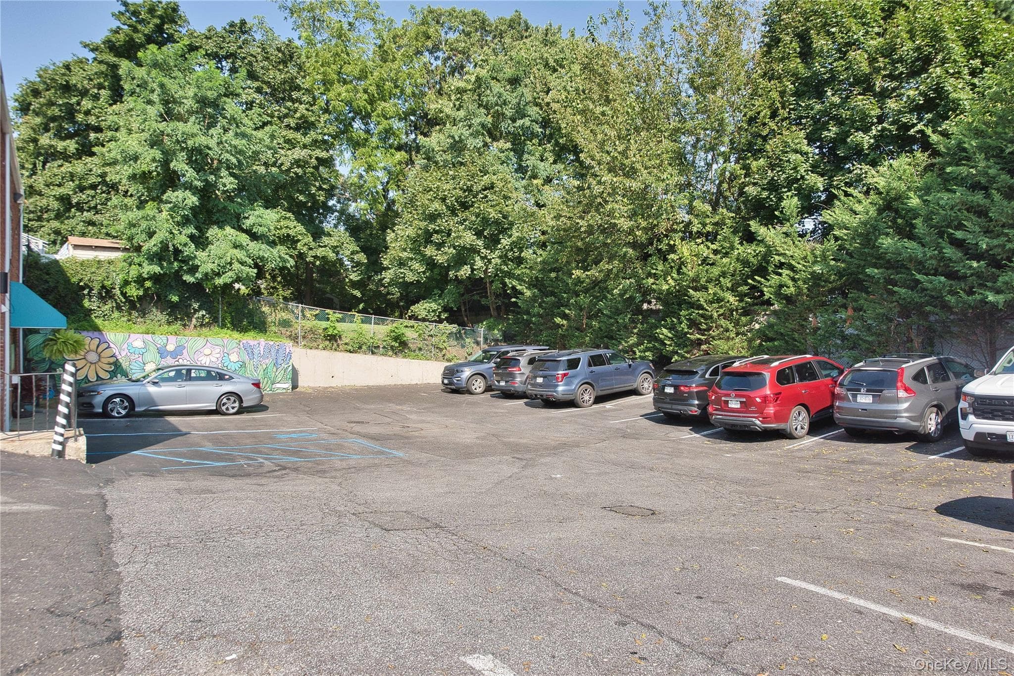 121 Pulaski Road thumbnail 20