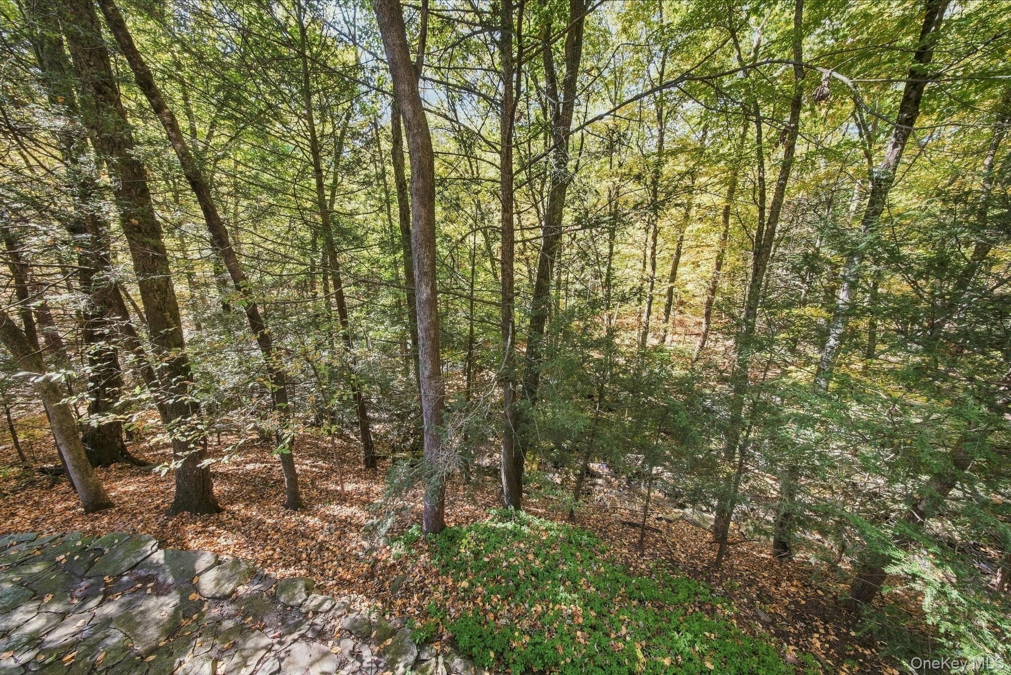 19 Franke Road thumbnail 33
