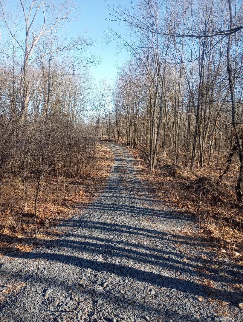 Myers RD. Westtown, NY 10 Myers Road thumbnail 7