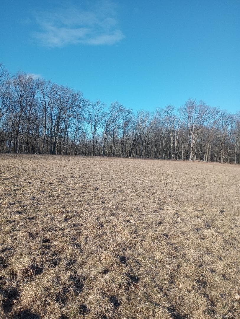 Myers RD. Westtown, NY 10 Myers Road thumbnail 4