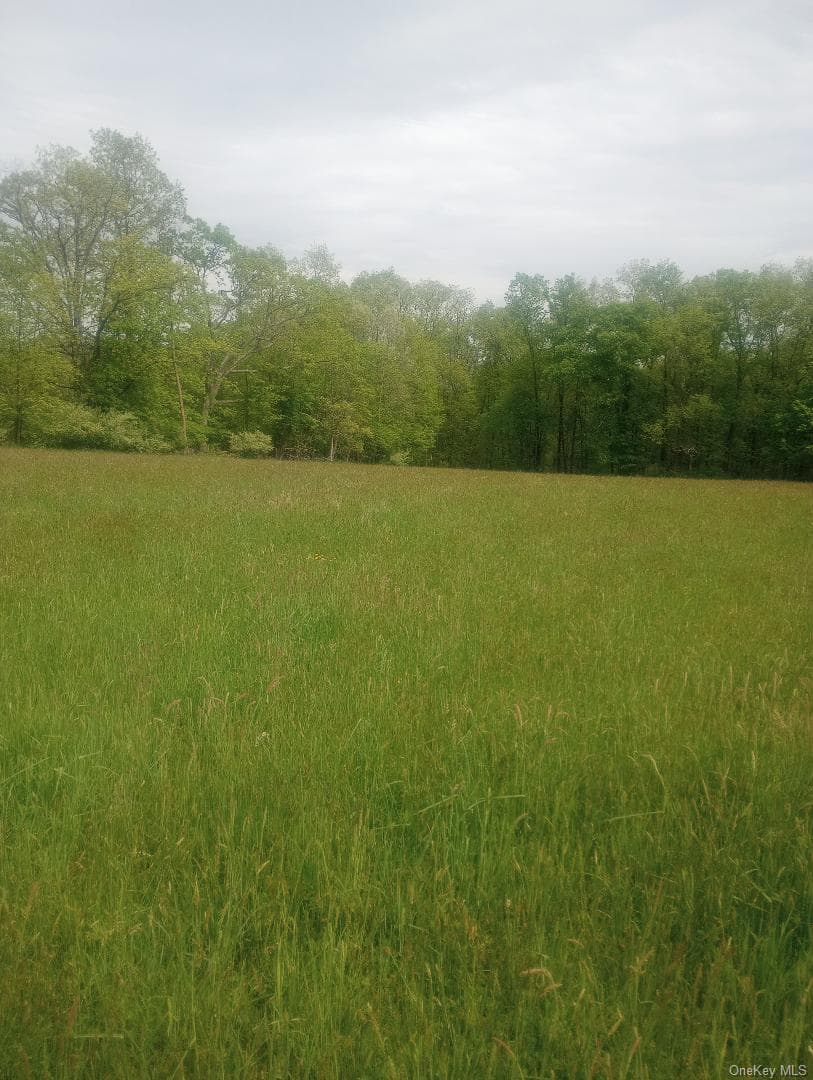 Myers RD. Westtown, NY 10 Myers Road photo 1