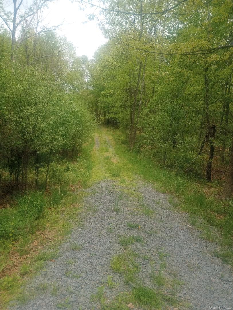 Myers RD. Westtown, NY 10 Myers Road thumbnail 2