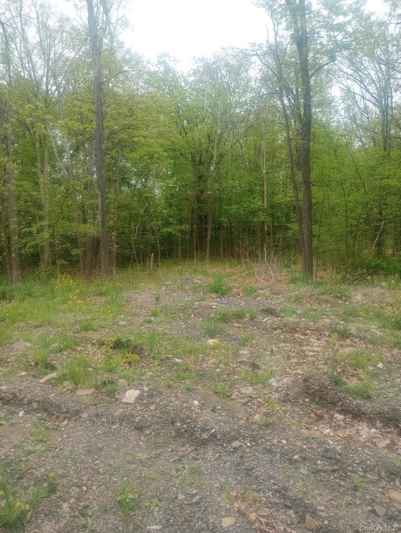 Myers RD. Westtown, NY 10 Myers Road thumbnail 3