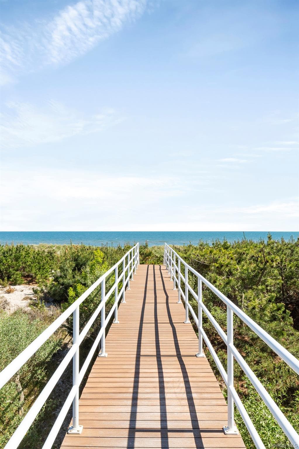 559 Dune Road thumbnail 18