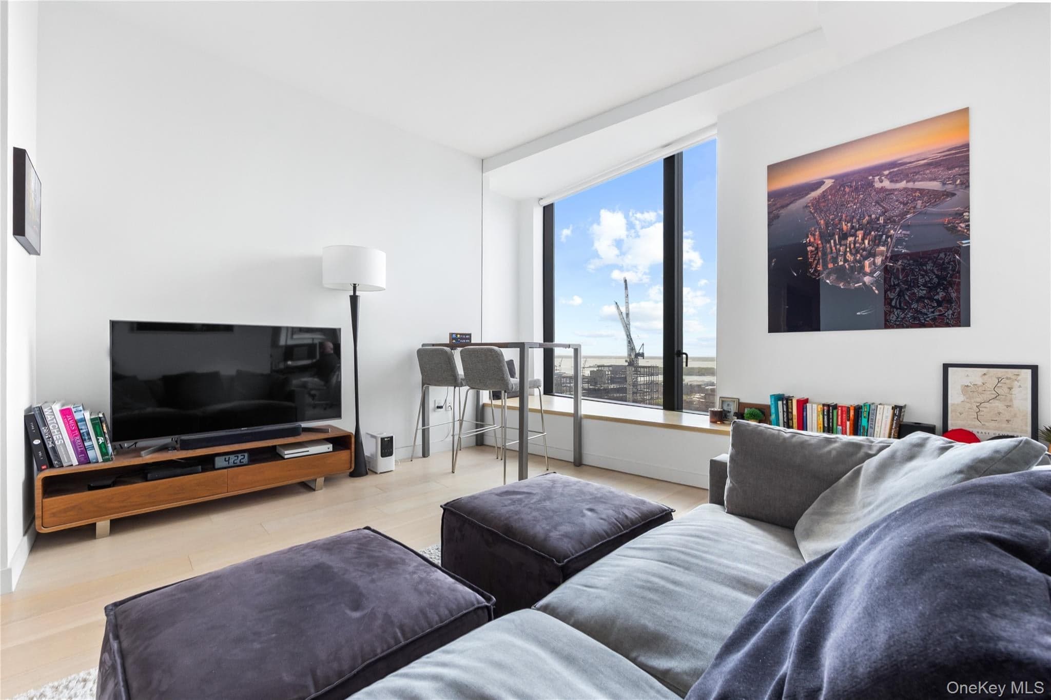 11 Hoyt Street Unit: 36H thumbnail 3
