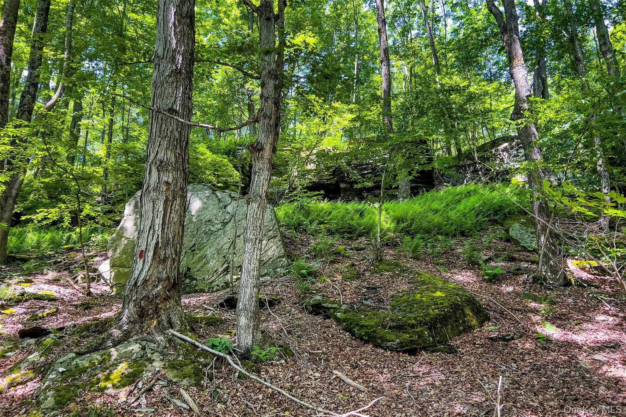 61 Fusco Drive thumbnail 46