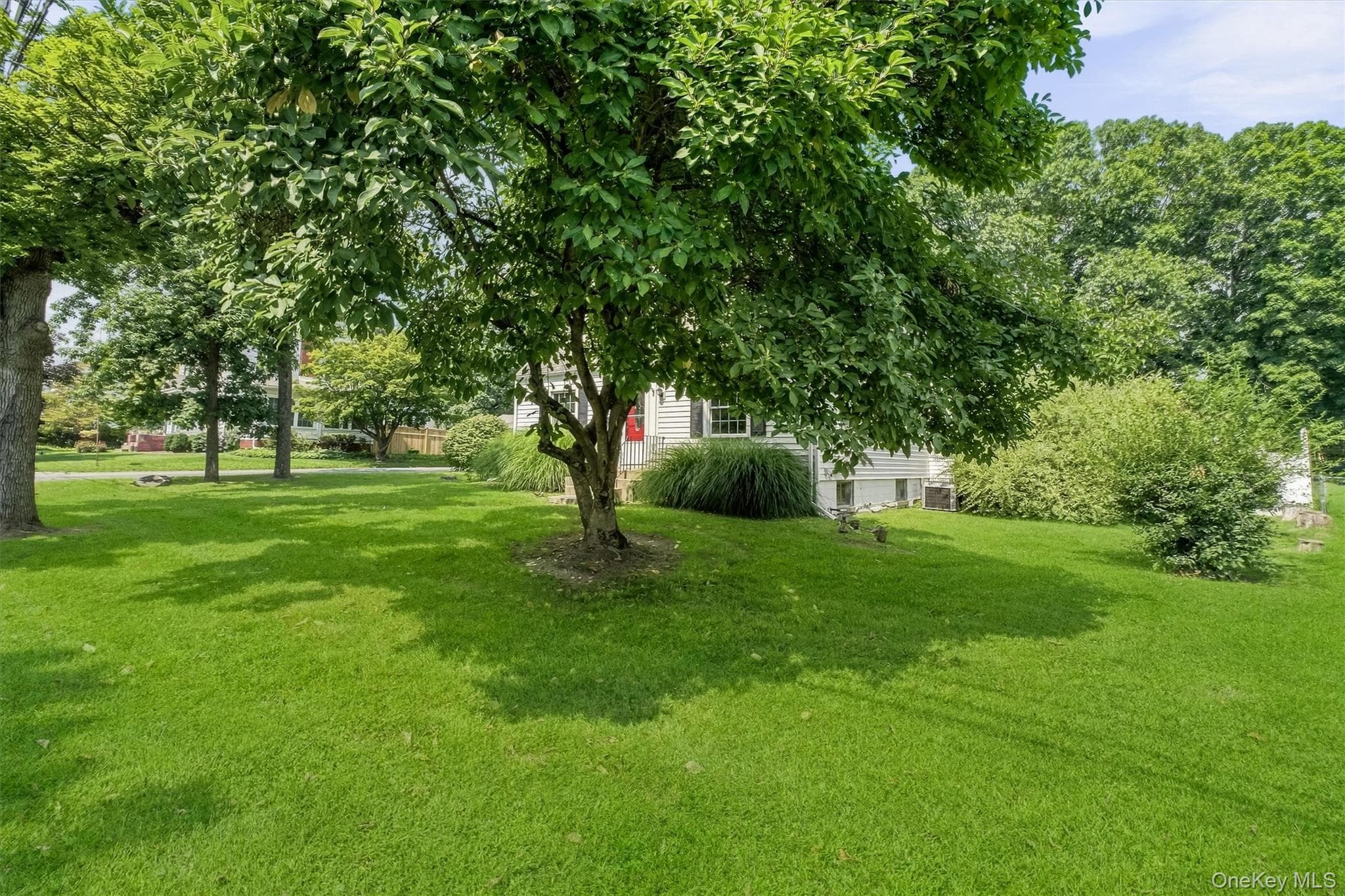 107 E Cedar Street thumbnail 4