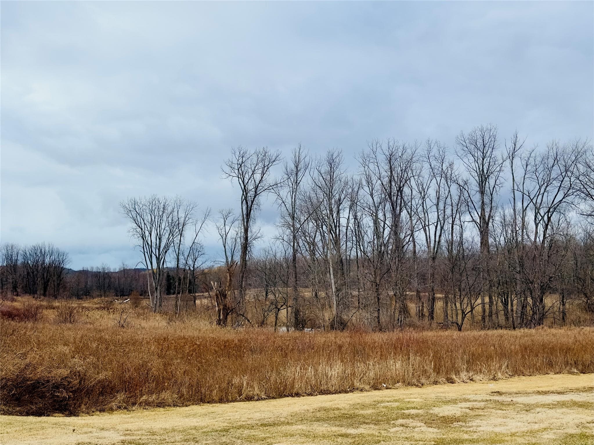 326 Cornwall Hill Road thumbnail 2