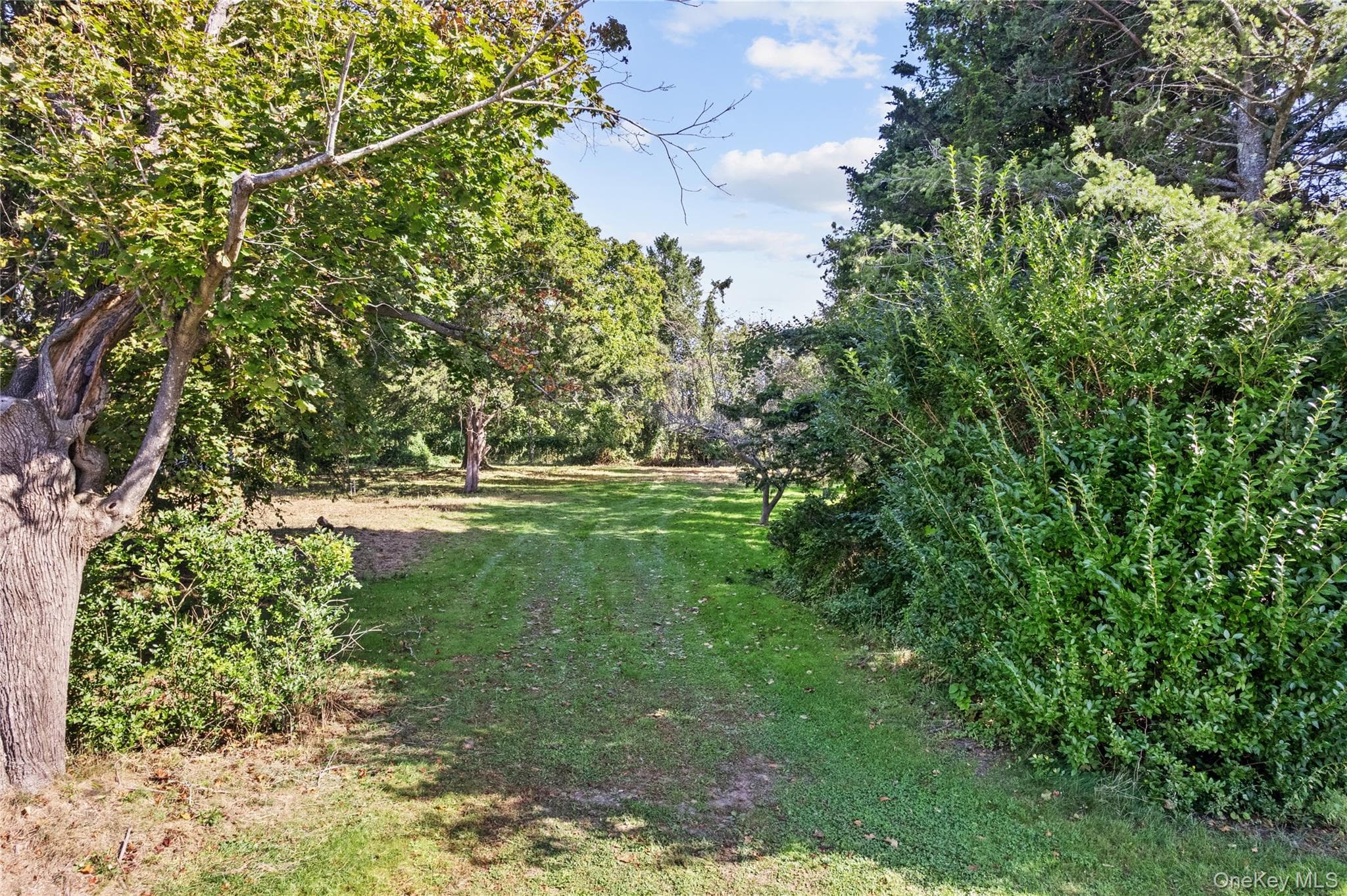 3850 Alvahs Lane thumbnail 3