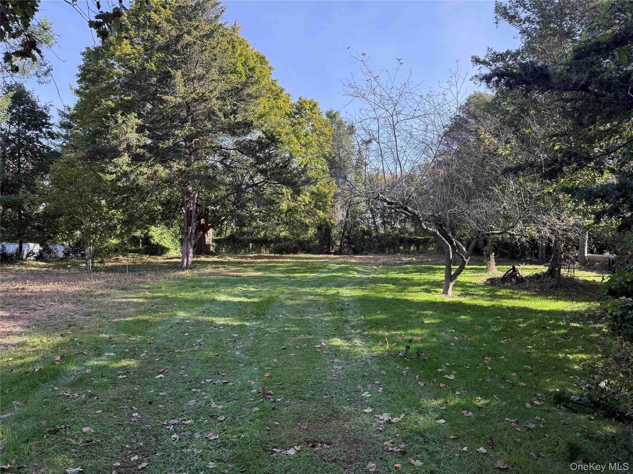 3850 Alvahs Lane thumbnail 4