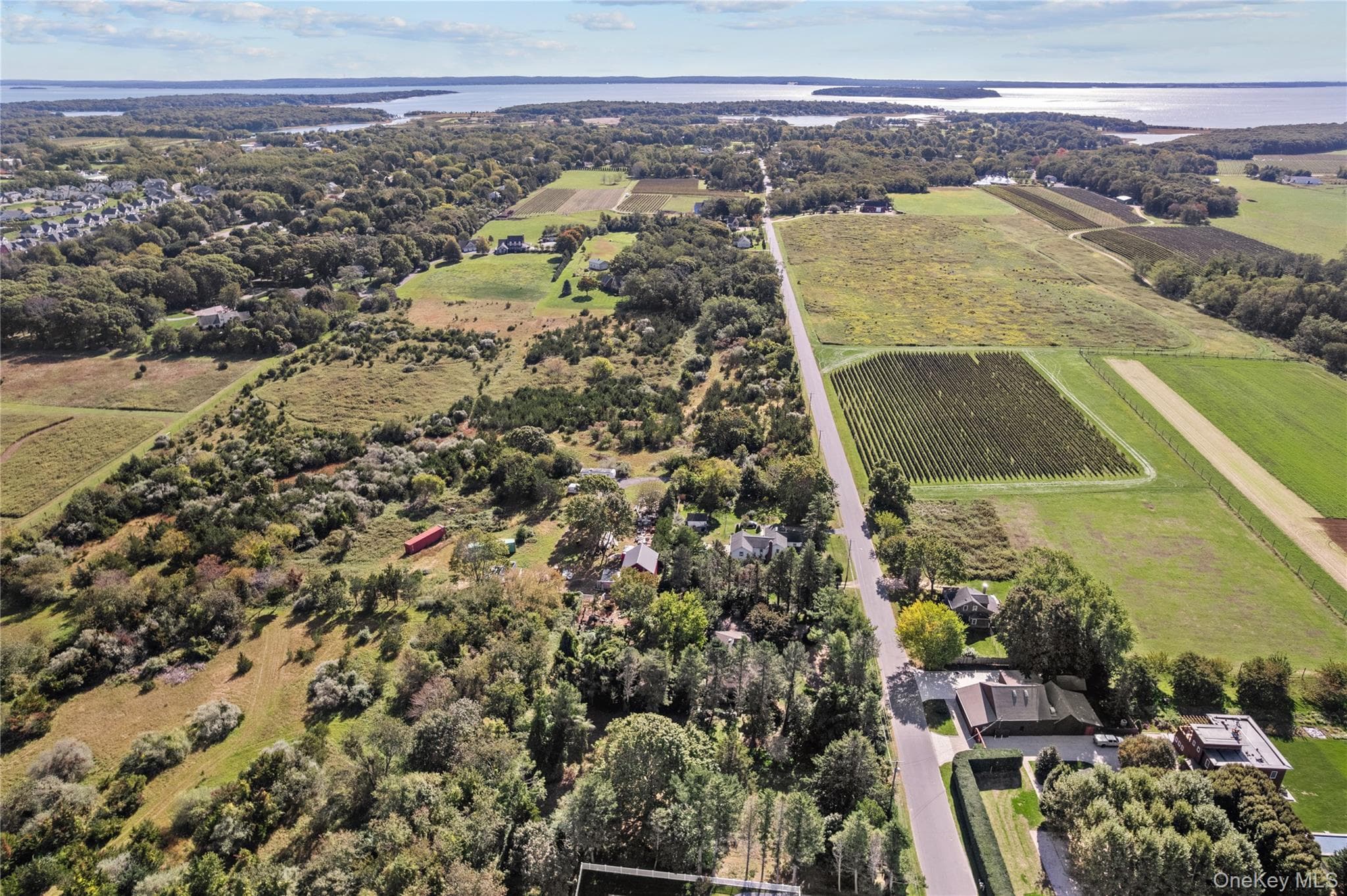3850 Alvahs Lane thumbnail 11