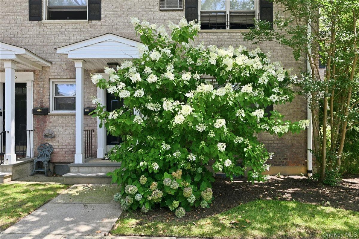 82-75 Langdale Street Unit: 103A thumbnail 2