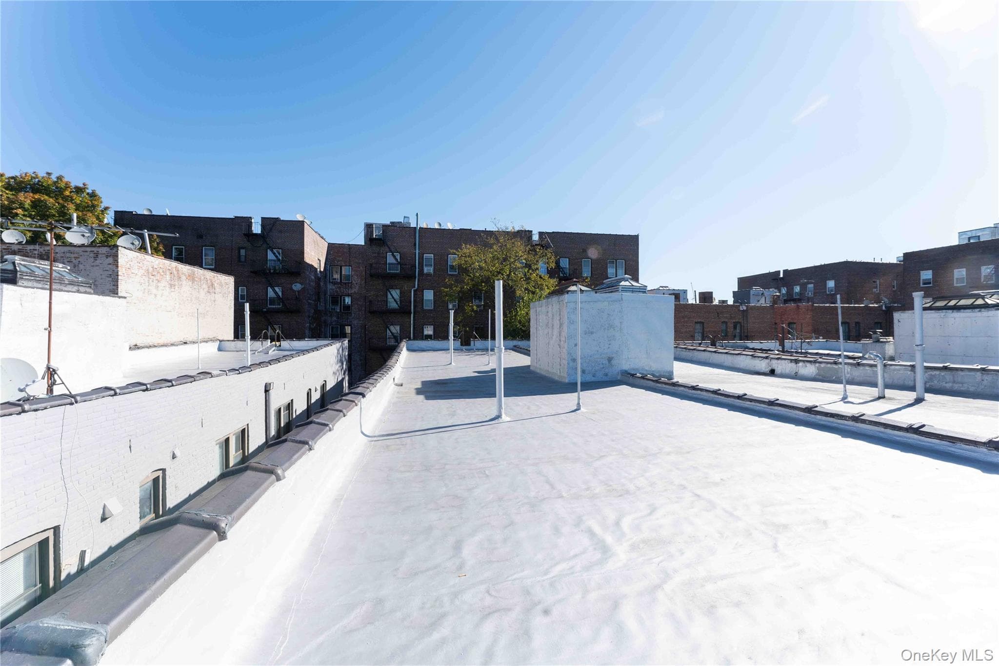 765 E 9th Street thumbnail 4