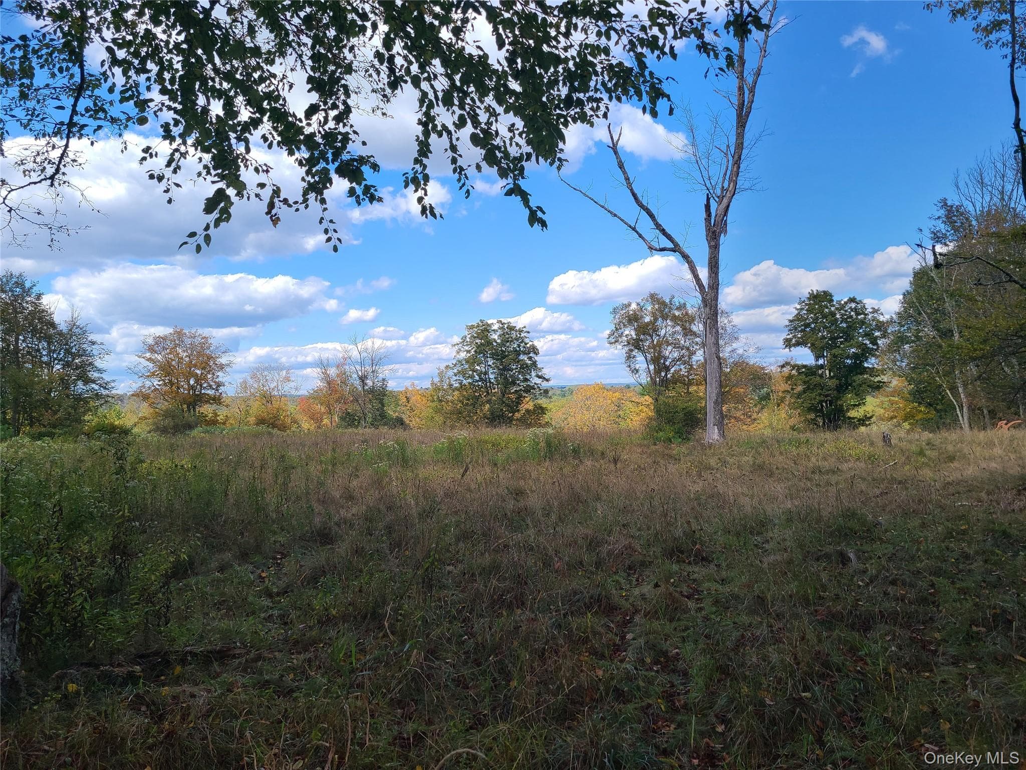 TBD Hilltop Road thumbnail 6