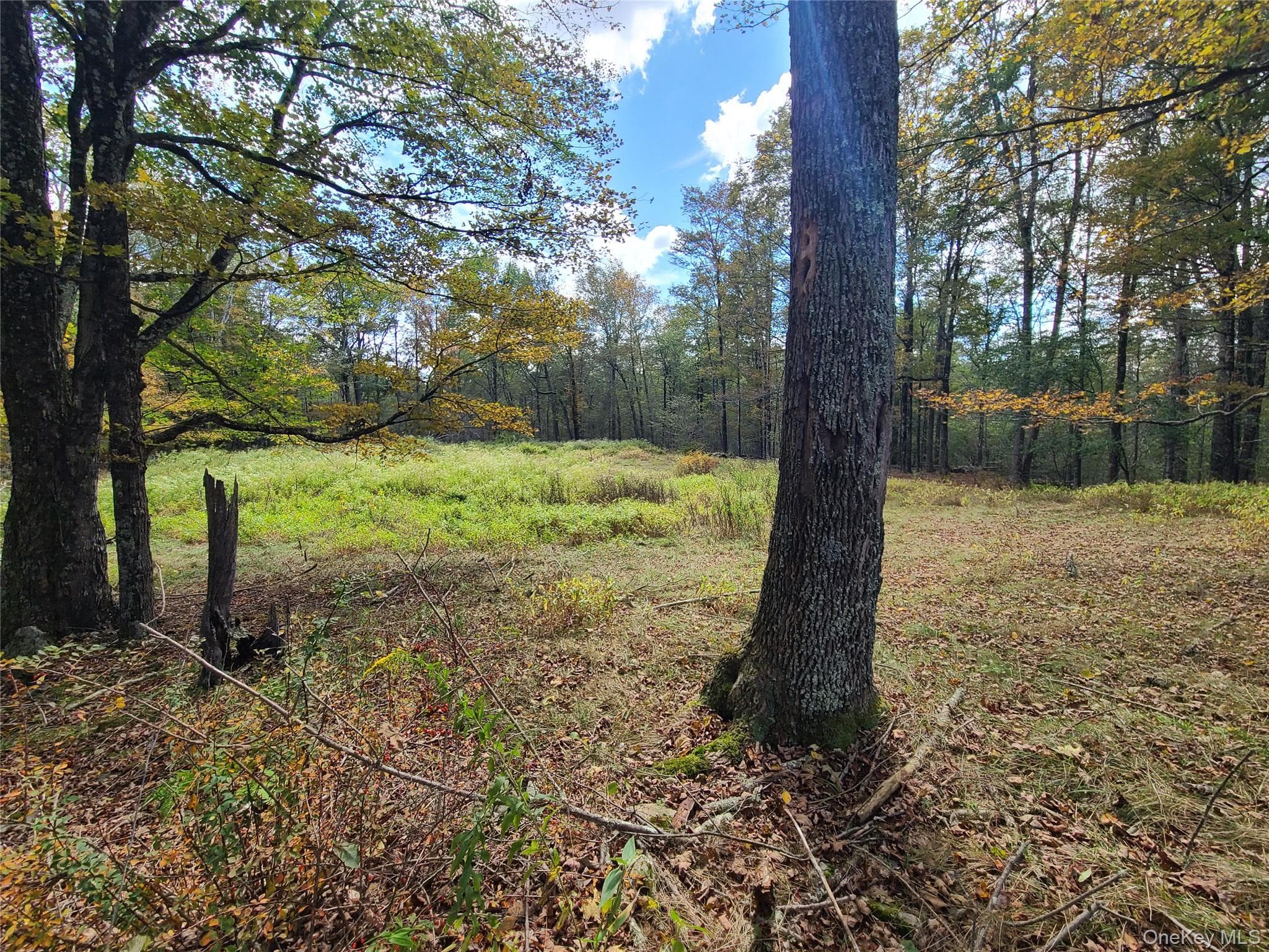 TBD Hilltop Road thumbnail 30