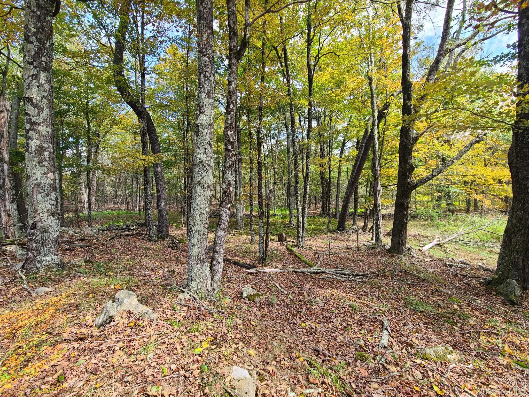 TBD Hilltop Road thumbnail 29
