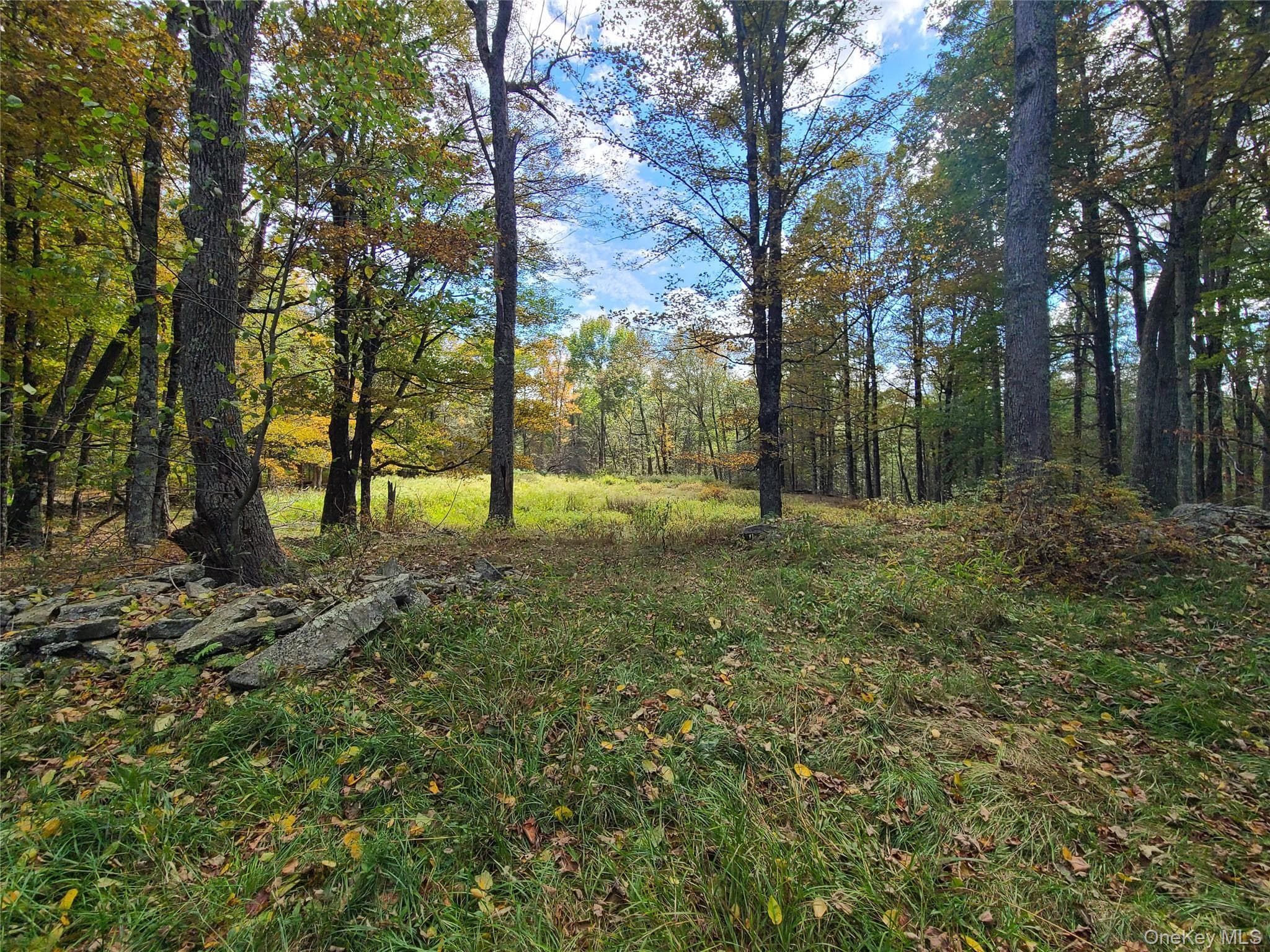 TBD Hilltop Road thumbnail 7