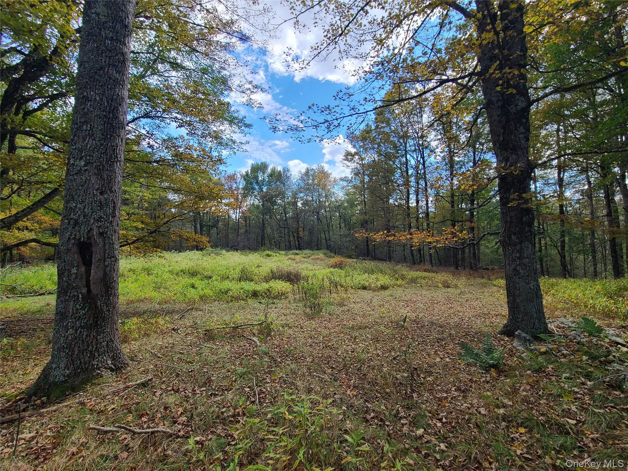 TBD Hilltop Road thumbnail 8