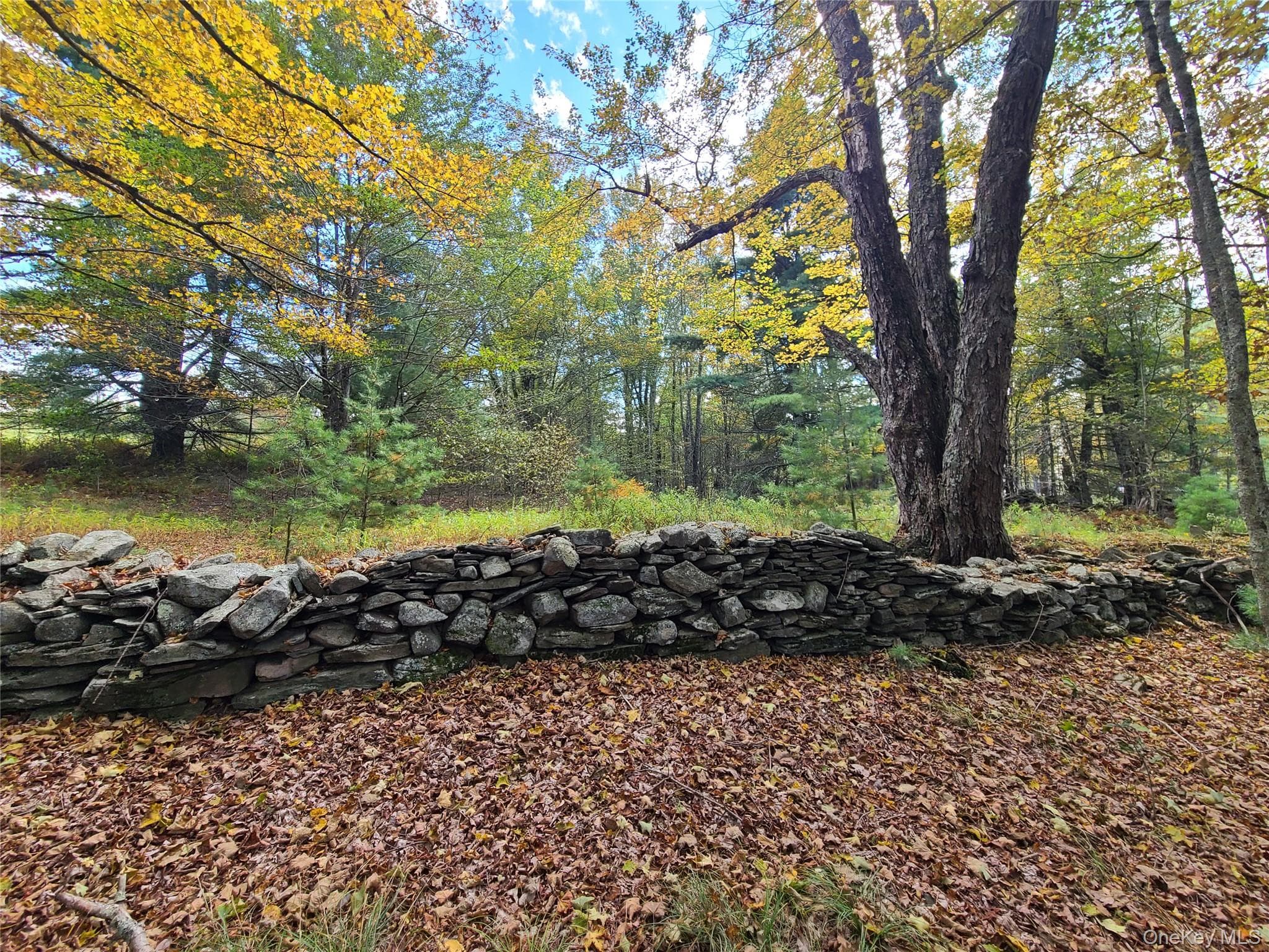 TBD Hilltop Road thumbnail 42