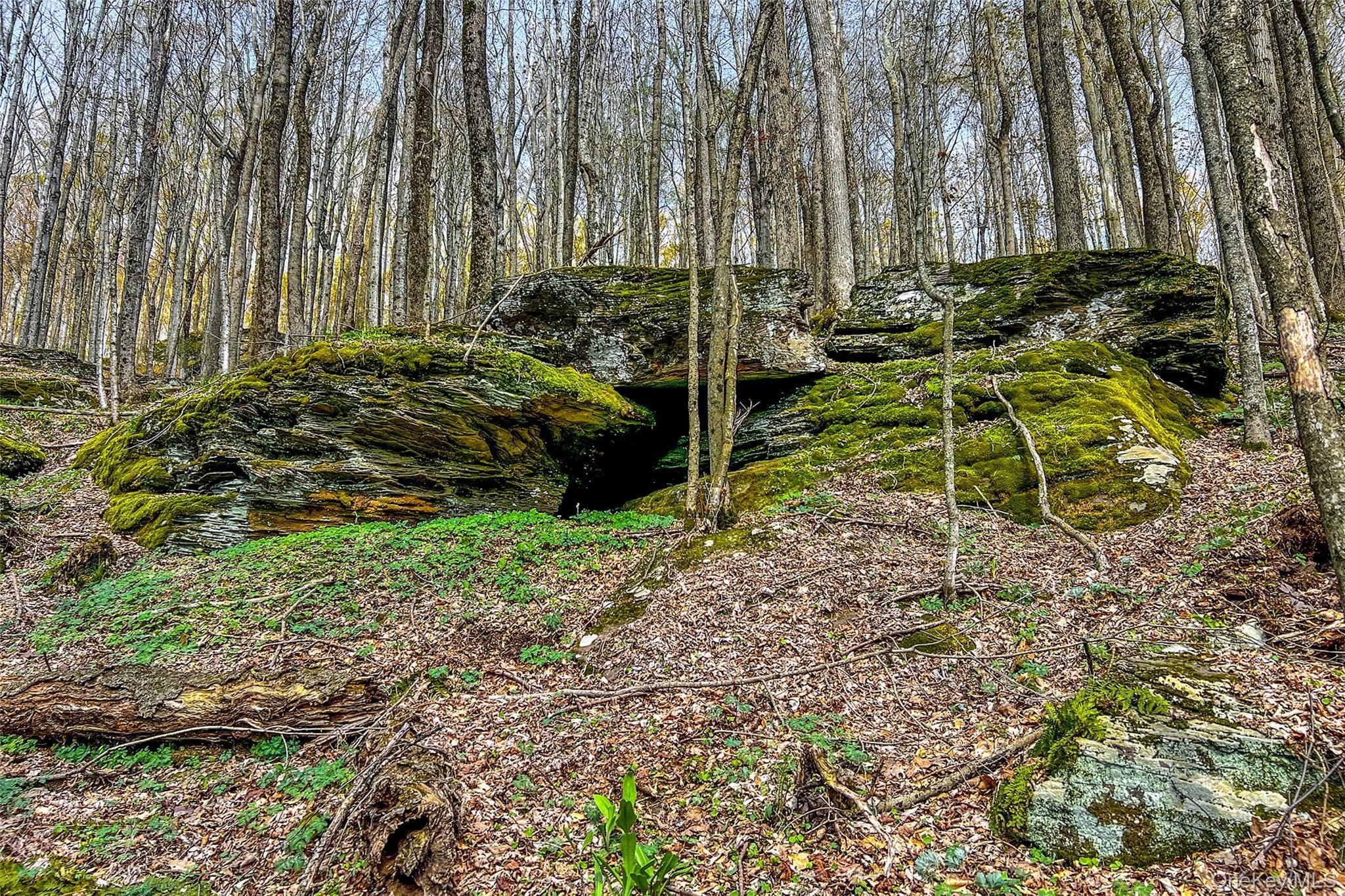 1264 Betty Brook Road thumbnail 41
