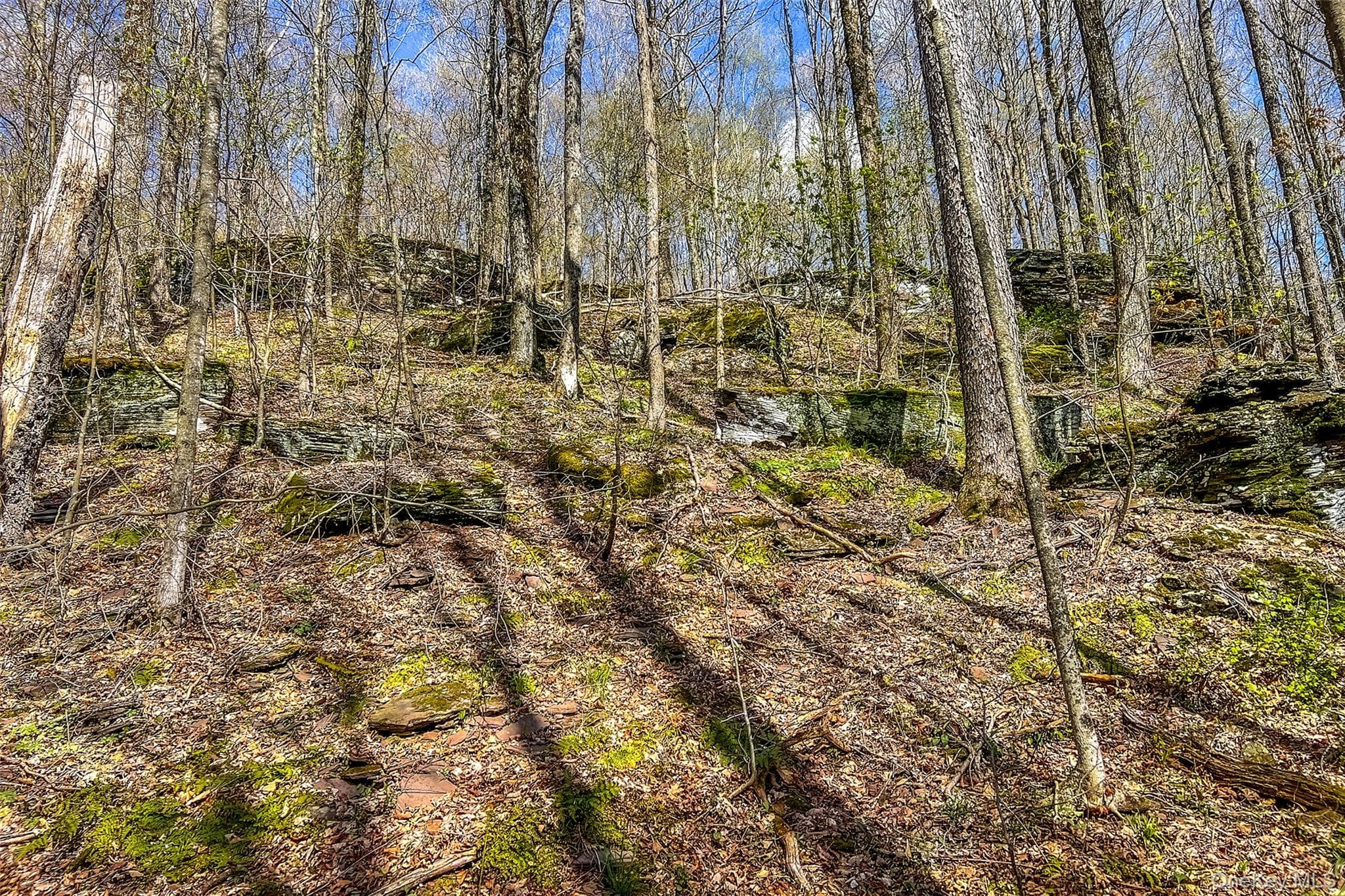 1264 Betty Brook Road thumbnail 43