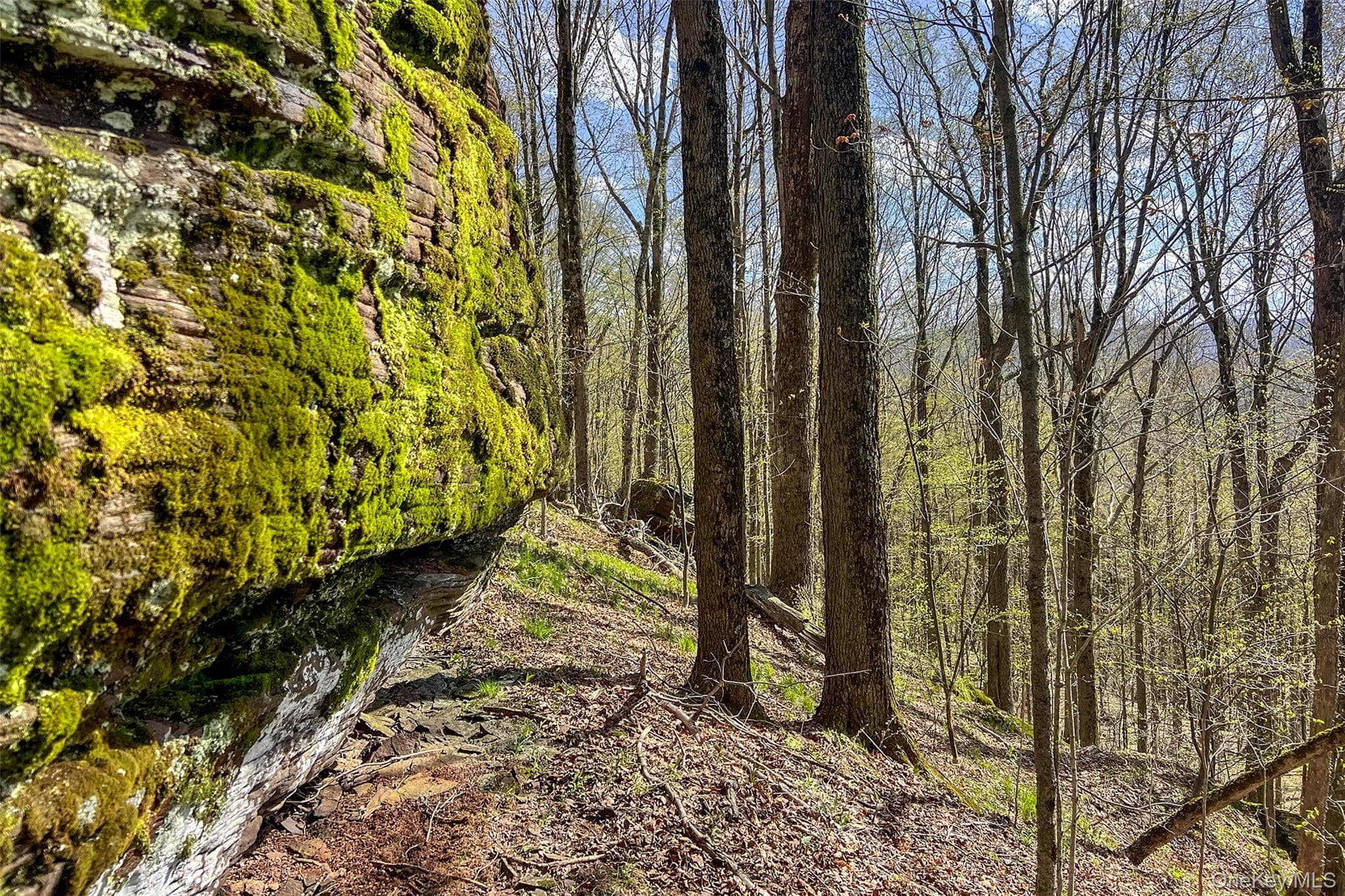 1264 Betty Brook Road thumbnail 44