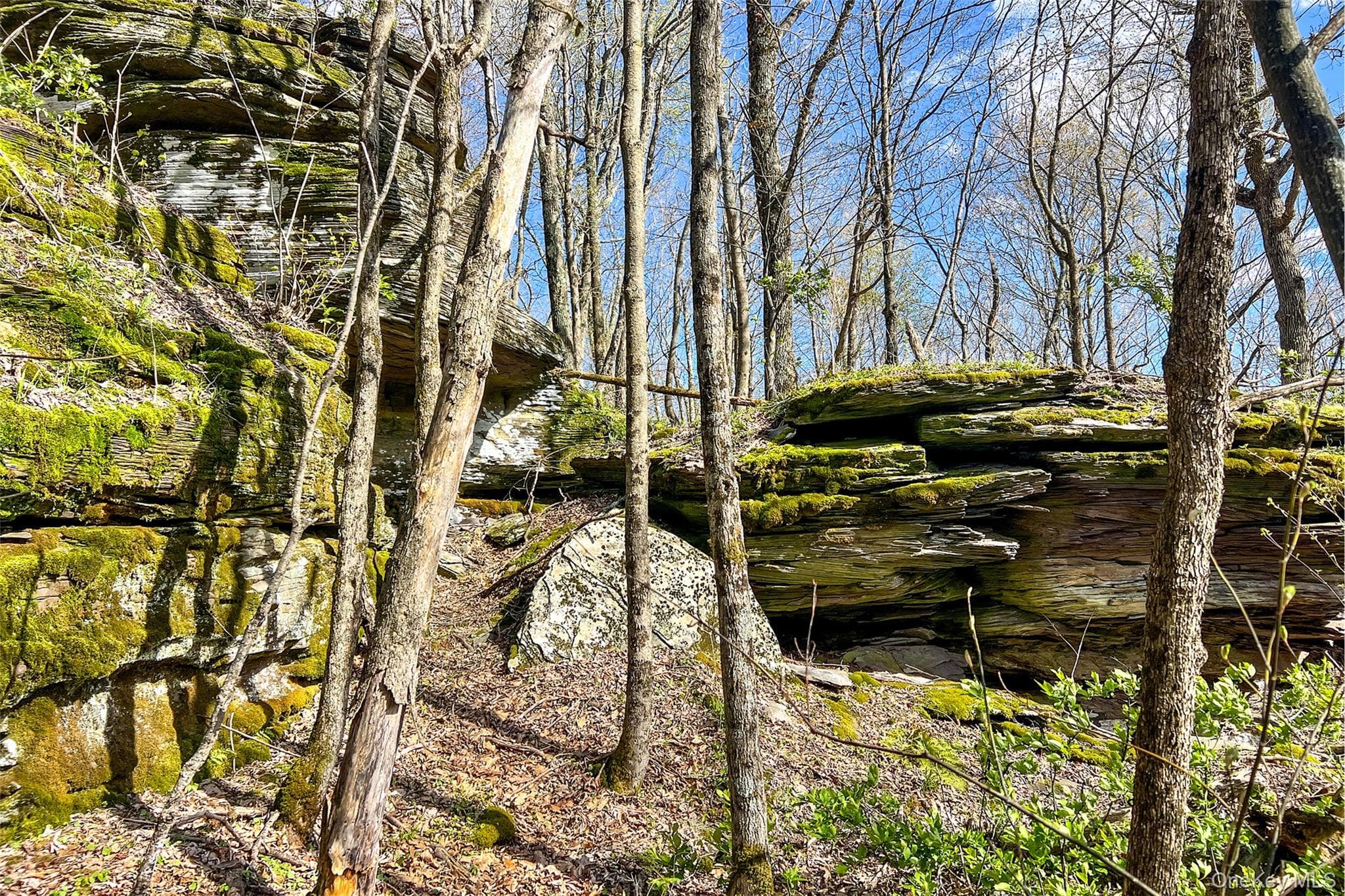 1264 Betty Brook Road thumbnail 46