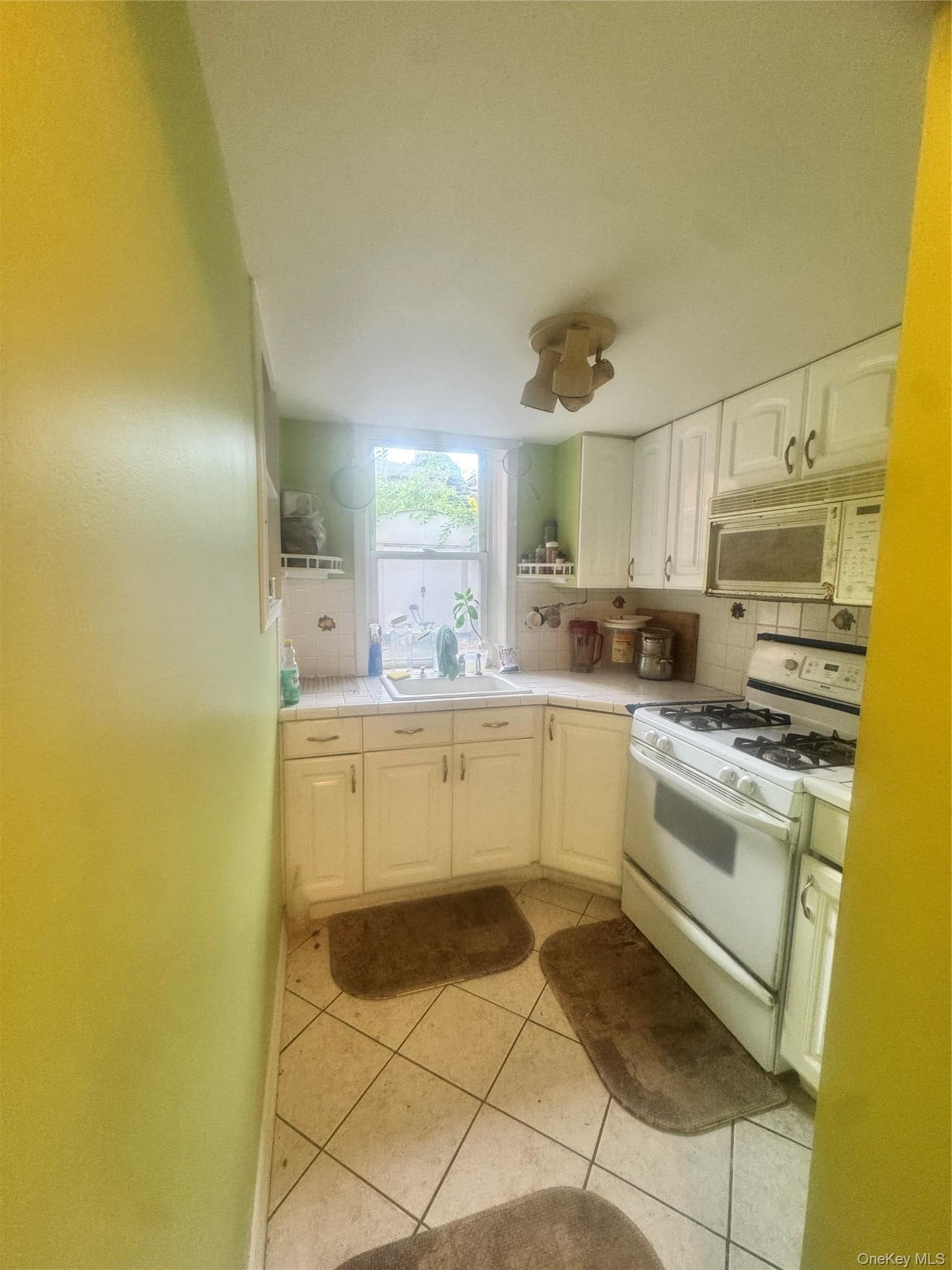 670 E 98th Street thumbnail 8